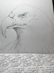 eagle watch and calligraphy practice