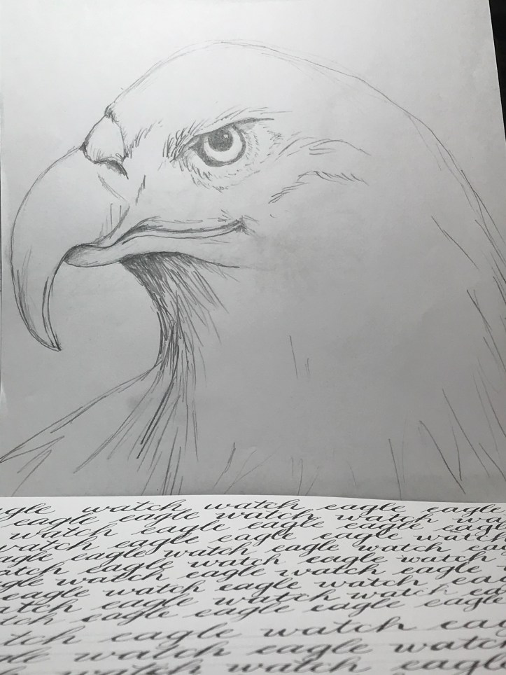 eagle watch and calligraphy practice