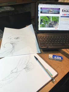 eagle watch and calligraphy practice